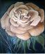 Rose - Rebekka KÃ¤nel - Ãl auf Leinwand - Blumen-Rosen - 