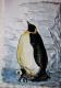 Pinguin-MOM - Mirdza Bong - Aquarell auf Papier - Tiere - GegenstÃ¤ndlich
