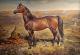 Pferd - Natalia Bastrykina -  auf  - Tiere - 