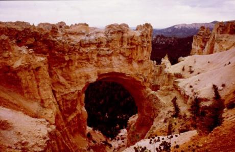 Bryce Canyon -  Xmas -  auf  - Array - 