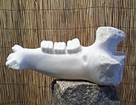 Jaw of Centaurus primigenius -  Thomas Berger -  auf  - Array - 