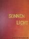 SONNEN LICHT - Melanie Hinckel - Acryl auf Leinwand - Sonstiges - 