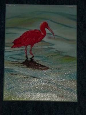 Scarlet Ibis -  NEPTUN -  auf Array - Array - 