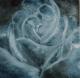 Blaue Rose - Ursula Koch -  auf  - Sonstiges - 