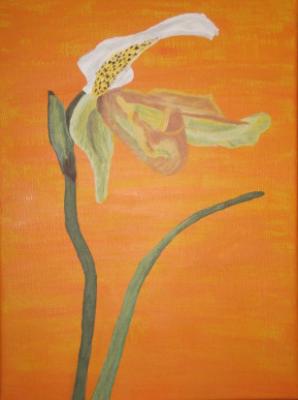 Orchidee - Sonja Wagner -  auf  - Array - 