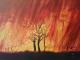 In Memoriam - Petra Wohlwerth - Acryl auf Leinwand - Landschaft-Feuer - Realismus