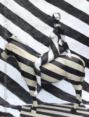 Zebra - Striped - Christine Dumbsky - Array auf  - Array - 