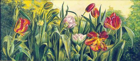 Tulpenbeet (Mittelbild aus drei Bildern) (2002) Ch - Christine Becker - Array auf Array - Array - 