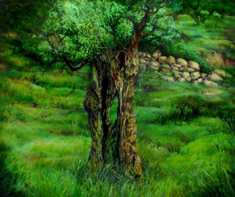 Der Olivenbaum (2007) -  di Bolgherese -  auf Array - Array - 