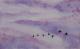 Purple Sky - Christiane Gathmann - Aquarell auf Papier -  - Klassisch