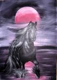 ---Wildes Pferd - Adriana Wulke - Array auf Array - - Array ---Wildes Pferd - Adriana Wulke - Array auf Array - - Array