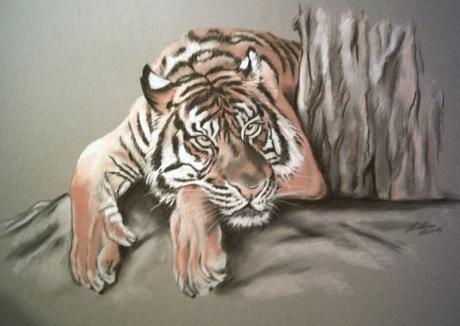 Tiger in Teilansicht, Pastell - Gaby Lukas - Array auf Array - Array - 