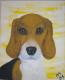 beagle ares - melanie schuster - Acryl-Ãl auf  - Hunde - 