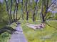 Weg im Park - Hanna Herrmann - Ãl auf Papier - Natur - 