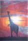 giraffe - melanie schuster -  auf  - Natur - 