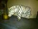 Zebra klein - Renate Dill - Keramik auf  - Wildtiere - 