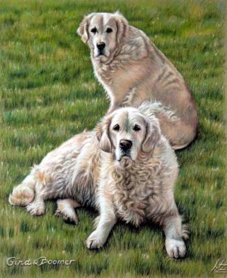 Golden Retriever 2 - Nicole Zeug - Array auf  - Array - 