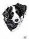 Border Collie 3 - Nicole Zeug - Kohle auf  - Hunde - 