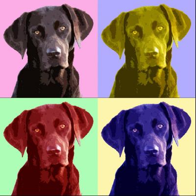 PopArt Labrador - Nicole Zeug - Array auf  - Array - 