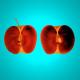 Xray Apple - Theo Berends - - auf  - Botanik - 