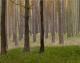 Kiefernwald/DÃ¼bener Heide - Stefan Rochler - Ãl auf Leinwand - Wald - Fotorealismus-GegenstÃ¤ndlich