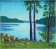 Schluchsee im FrÃ¼hling - Josef Heinzler - Thomas Knab - Ãl auf Leinwand - Reisen-BÃ¤ume-See-Wald-Wiese-FrÃ¼hling - Impressionismus