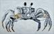 Krabbe - anonciata braun-brinkmann - Acryl auf Papier - Fische - GegenstÃ¤ndlich